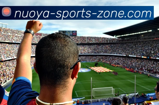 诺亚体育专区APP 封面图